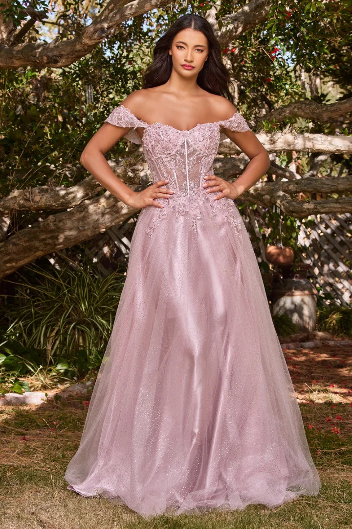 The Emerald Applique Off Shoulder Tulle Gown