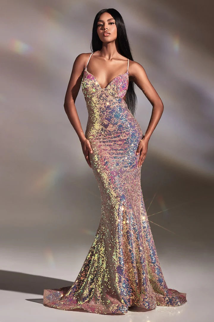 The Evianna Fitted Long Iridescent Sequin Gown