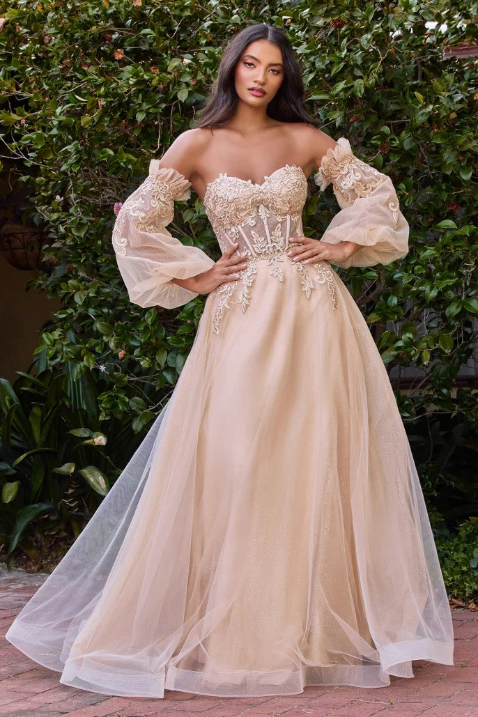 The Ava APPLIQUE CORSET GOWN