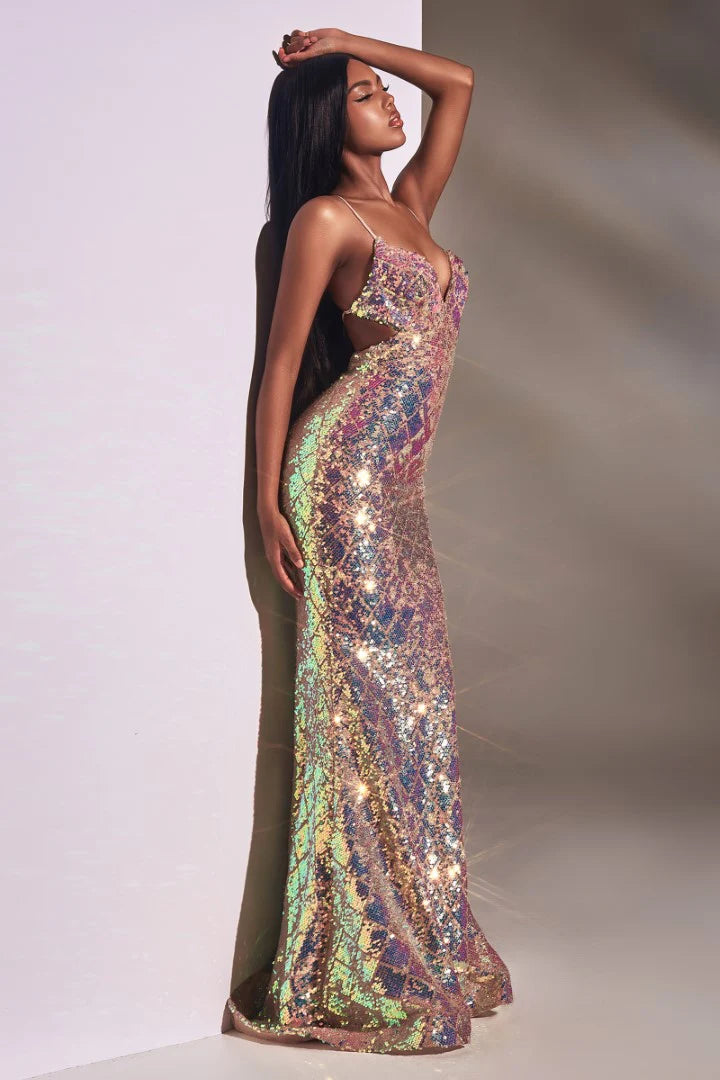 The Evianna Fitted Long Iridescent Sequin Gown