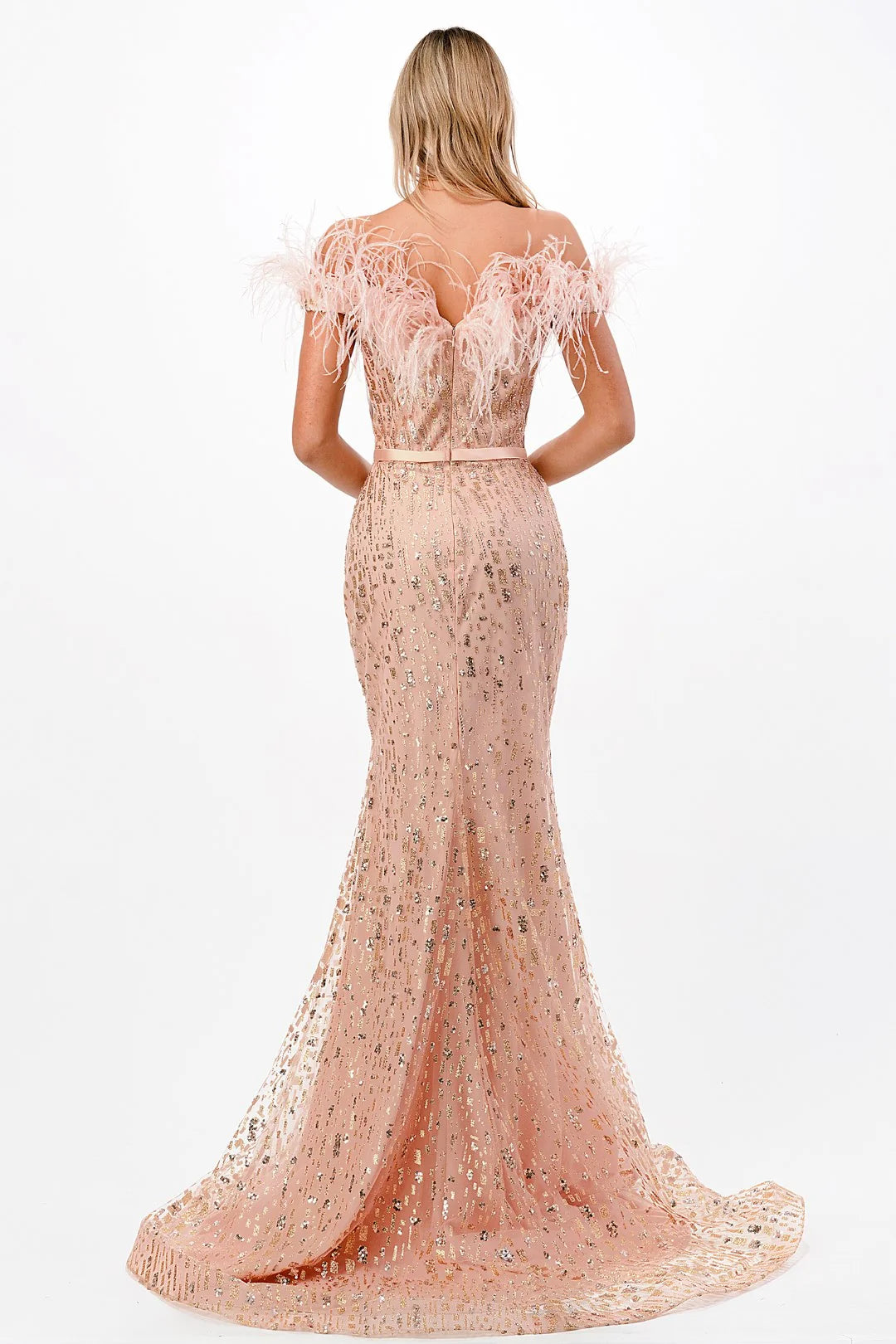The Jenien Feather Off Shoulder Gown