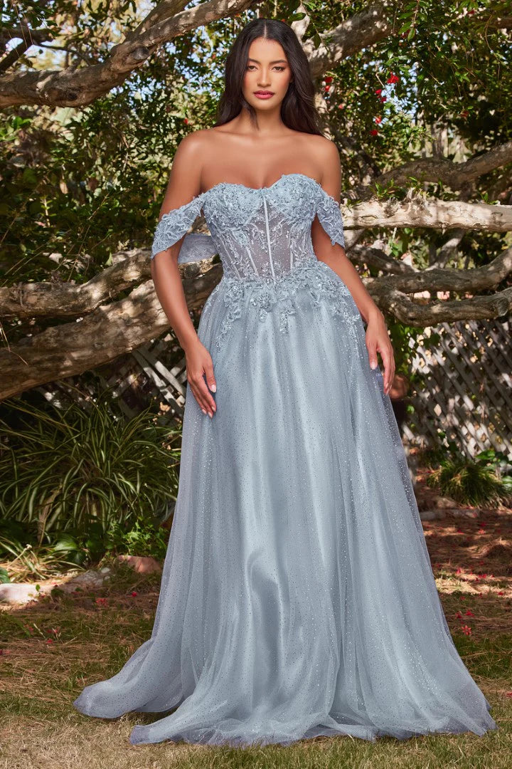 The Emerald Applique Off Shoulder Tulle Gown