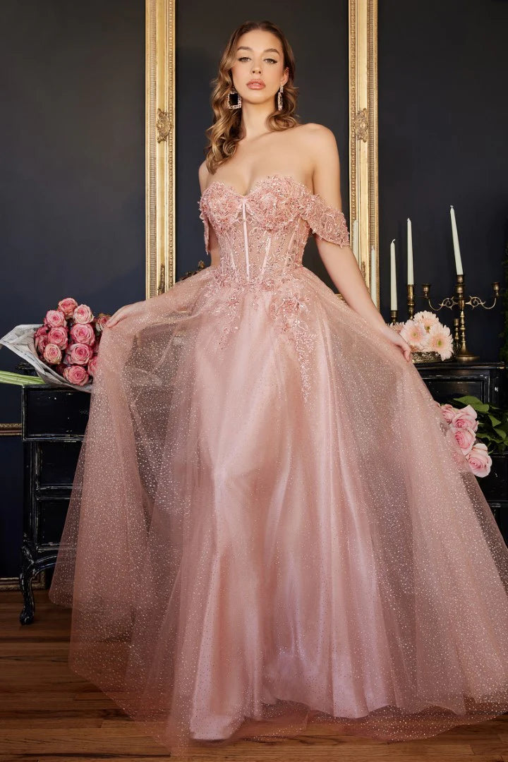 The Emerald Applique Off Shoulder Tulle Gown