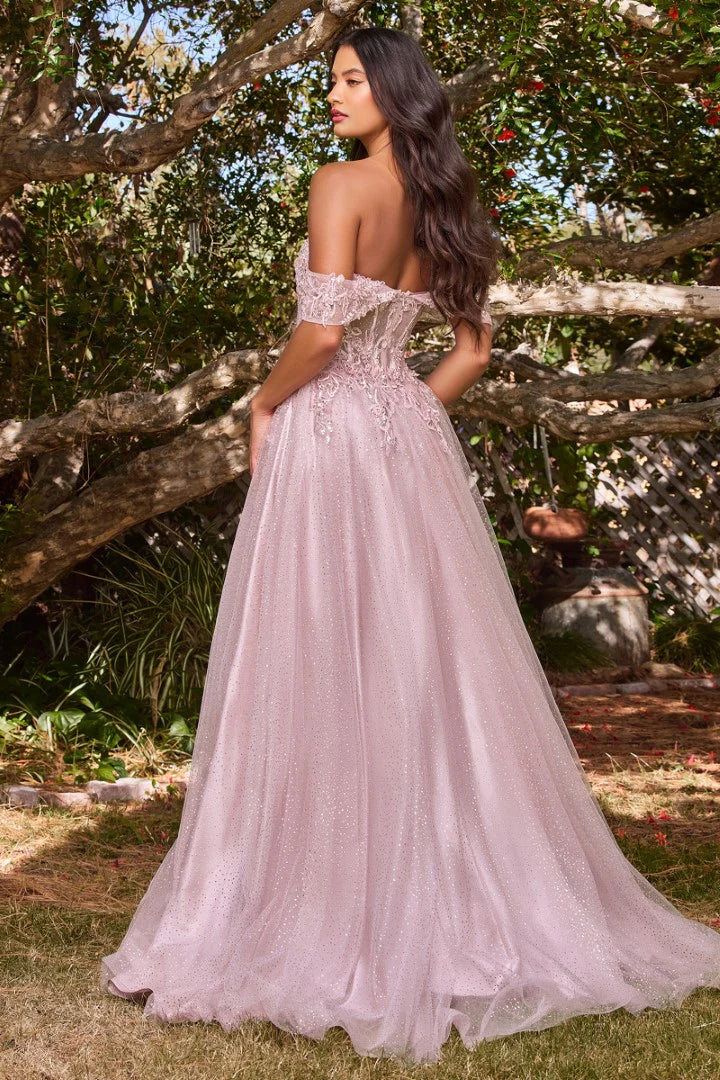 The Emerald Applique Off Shoulder Tulle Gown