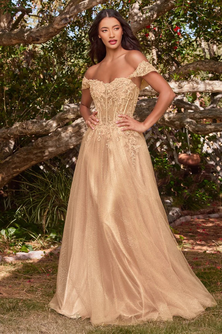 The Emerald Applique Off Shoulder Tulle Gown